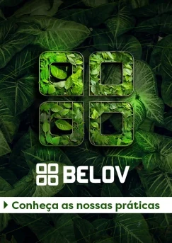 Grupo Belov apresenta o Relatório ESG 2023.2024