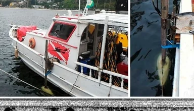 Identificação de Dutos (Fonte: Chirp) - Baía de Guanabara/RJ 