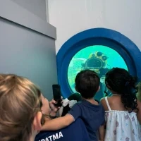 SIPATMA 2025 | Belov